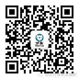 MK体育·（国际）官方网站-mksport
